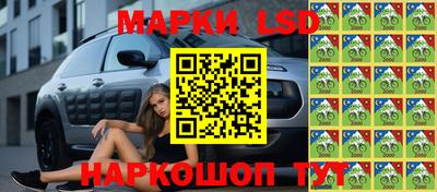 мяу мяу мука Бузулук