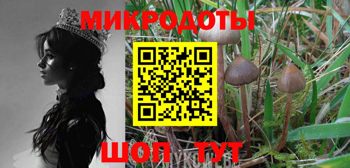 Галлюциногенные грибы Magic Shrooms  как найти закладки  Архангельск  Вход с VPN 